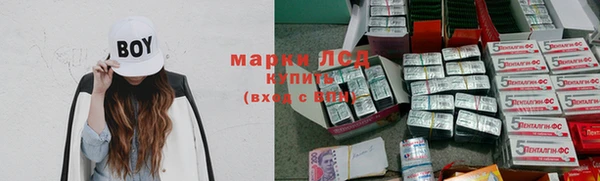 сатива Аркадак