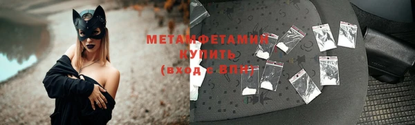 сатива Аркадак