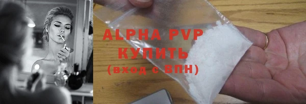 индика Арсеньев