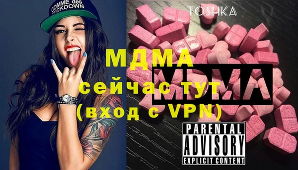 индика Арсеньев
