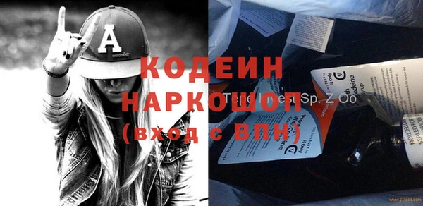 индика Арсеньев