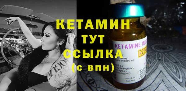 индика Арсеньев