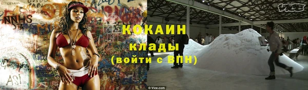 индика Арсеньев