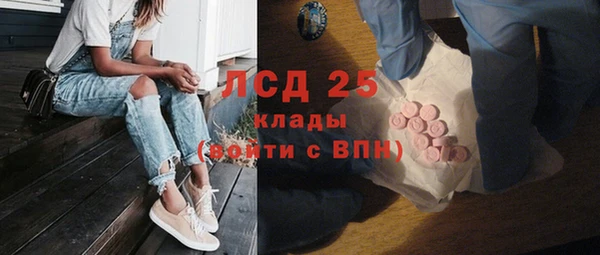 сатива Аркадак