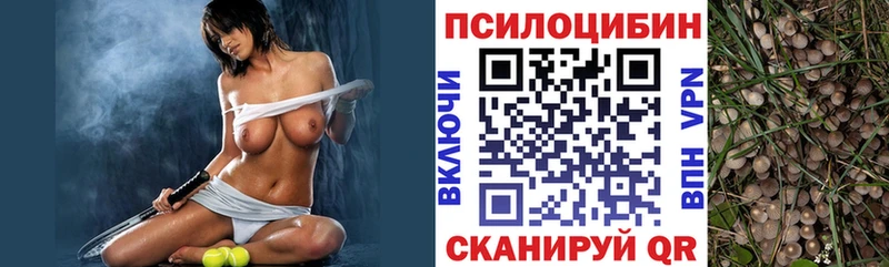 как найти закладки  OMG ССЫЛКА  Галлюциногенные грибы мухоморы  Хвалынск 